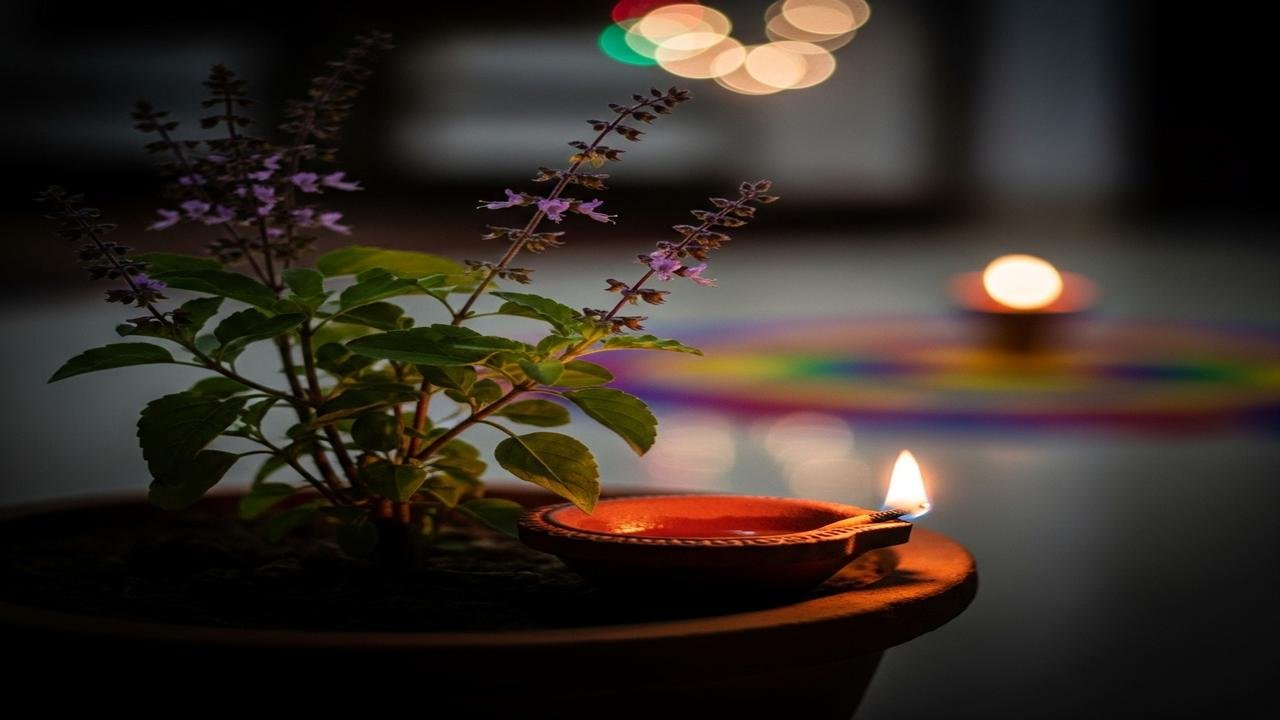 दिवाली के दिन तुलसी के पास जरूर जलाएं दीपक, घर में आएगी बरकत